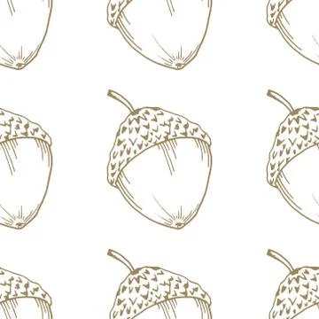 Oak acorns seamless pattern. Hand drawn acorn seamless pattern. Stock Illustration