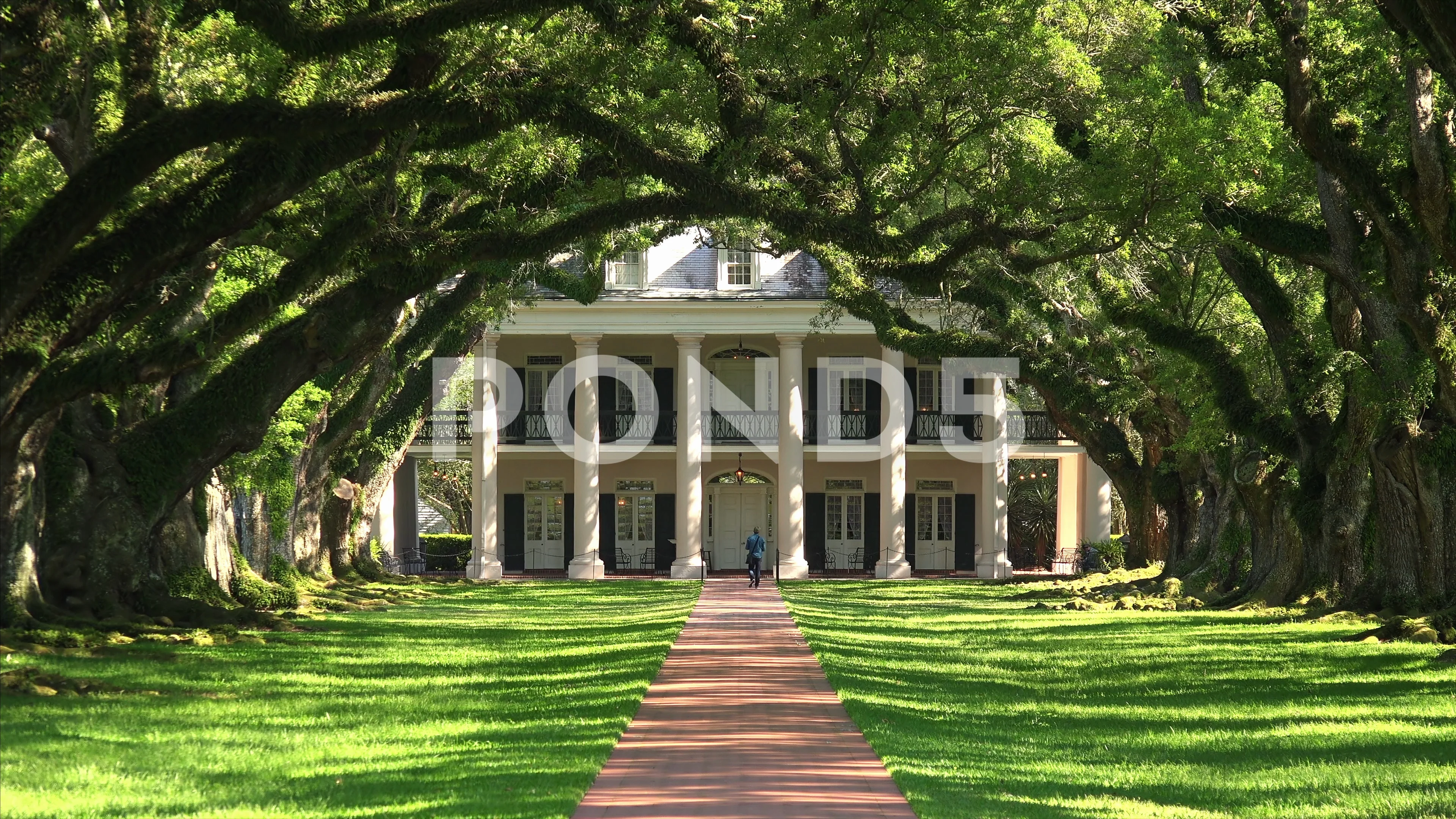 Some place. Дубовая аллея Луизиана. Поместье Oak Alley. Oak Alley Plantation. Луизиана кипарисы.