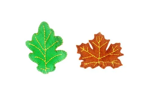 Oak and maple leaf on a white background. Handmade autumn leaves. Felt leaves Stock Photos