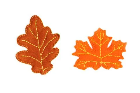 Oak and maple leaf on a white background. Handmade autumn leaves. Felt leaves Stock Photos