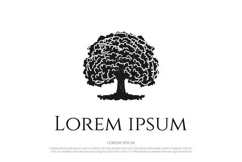 Oak Banyan Tree of Life Logo Design Vector Stock Illustration