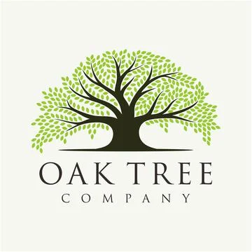Oak Banyan tree logo design. Tree of life logo design inspiration Stock Illustration