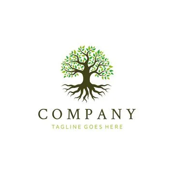 Oak Banyan tree logo design. Tree of life logo design inspiration Illustrazione stock