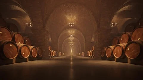 Oak Barrel In Wine Cellar Stock Footage