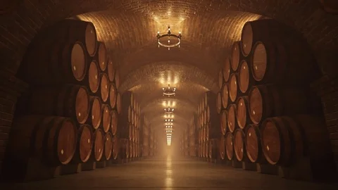 Oak Barrel In Wine Cellar Stock Footage 73233767