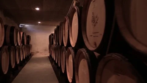 Oak barrels in a cellar Stock Footage 83445483