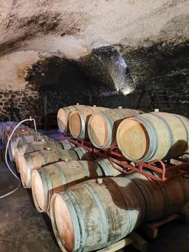 Oak barrels in a cellar Stock Photos