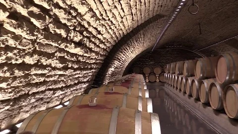 Oak barrels in a wine cellar Stock Footage 83445482