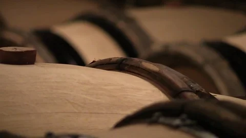 Oak barrels in a wine cellar Stock Footage 83445600