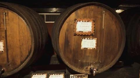 Oak barrels with wine Stock Footage 237316482