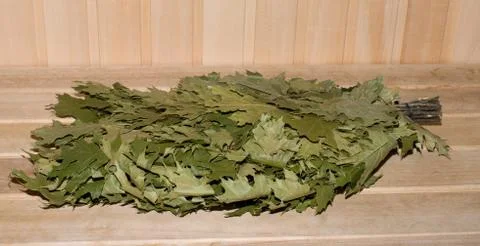 Oak broom. Stock Photos