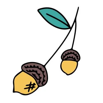 Oak cone in doodle style. Hello, Autumn. Oak fruits or seeds. Design or sticker Stock Illustration