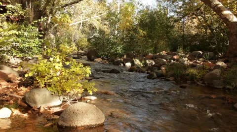 Oak Creek Rushing through Fall Colors 1 Stock Footage 8955482