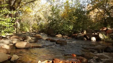 Oak Creek Rushing through Fall Colors 2 Stock Footage 8955491