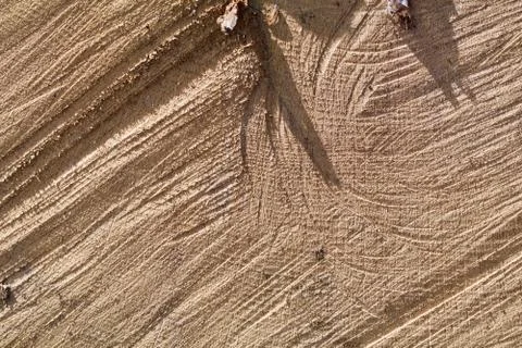 Oak Cross Section Stock Photos