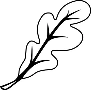 Oak Foliage. Closeup oak leaf - linear vector drawing, element for coloring. Illustrazione stock