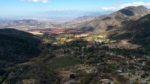 Oak Glenn TL Stock Footage 127676149