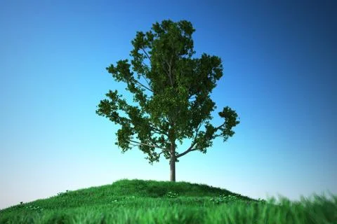 Oak on grass hill Stock Illustration