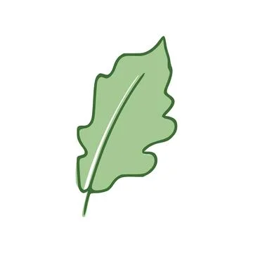 Oak Green Leaf flat icon isolated on white background. Vector illustration Stock Illustration