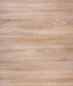 Oak high resolution texture Stock Photos