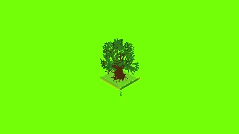 Oak icon animation 库存影片 153605625