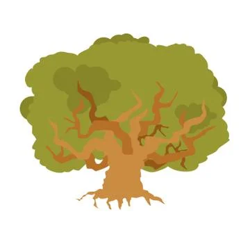 Oak isolated. large old tree. Huge bush Stock Illustration