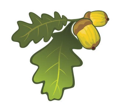 Oak leaf and fruit design vector Illustrazione stock