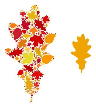 Oak Leaf Autumn Composition Icon with Fall Leaves Stock Illustration