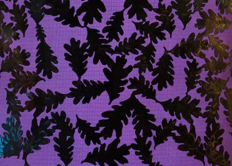 Oak Leaf backlight background art illuminated Stock Photos