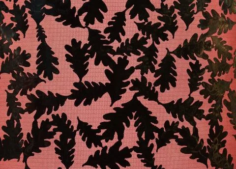 Oak Leaf backlight background art illuminated Stock Photos