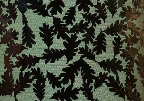 Oak Leaf backlight background art illuminated Stock Photos