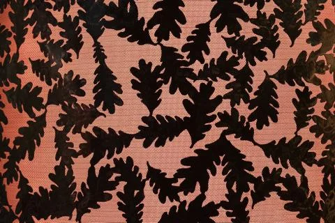 Oak Leaf backlight background art illuminated Stock Photos