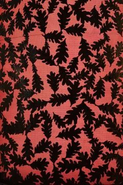 Oak Leaf backlight background art illuminated Stock Photos