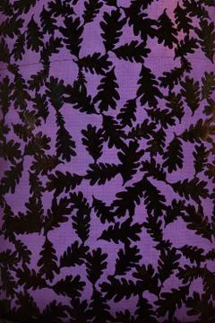 Oak Leaf backlight background art illuminated Stock Photos