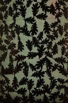 Oak Leaf backlight background art illuminated Stock Photos