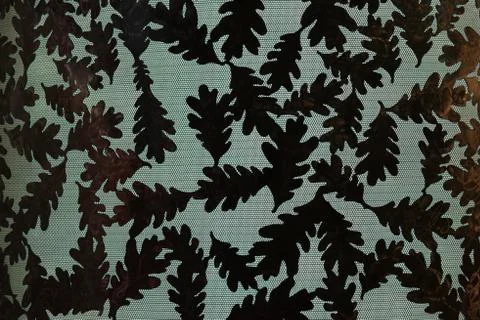 Oak Leaf backlight background art illuminated Foto stock