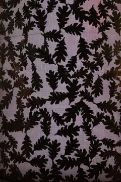 Oak Leaf backlight background art illuminated Stock Photos