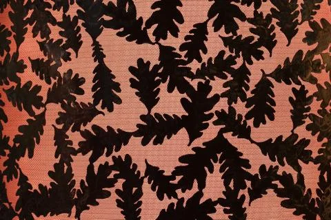 Oak Leaf backlight background art illuminated Stock Photos
