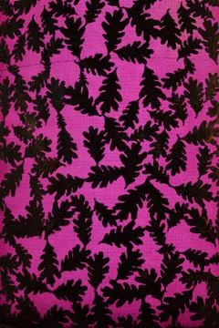 Oak Leaf backlight background art illuminated Stock Photos