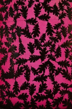 Oak Leaf backlight background art illuminated Stock Photos