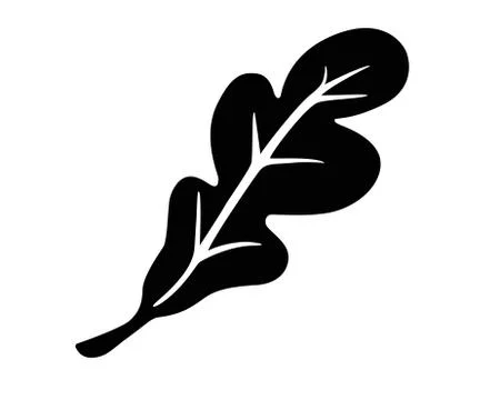 Oak Leaf - Black vector silhouette for pictogram or logo. Oak leaf sign or icon. Stock Illustration
