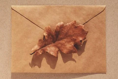 Oak leaf on brown paper envelope, minimal fall background, autumn flat lay Stock-Fotos