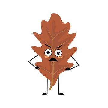 Oak leaf character with angry emotions, grumpy face, furious eyes, arms and legs Stock Illustration