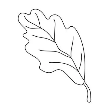 Oak leaf  in doodle style. Stock Illustration