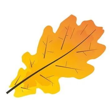 Oak leaf, fall Illustrazione stock