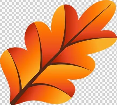 Oak-like leaf is floating in flat vector on transparent background showing warm Stock Illustration