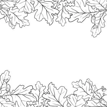 Oak leaf frame. Hand drawn oak leaf composition, vector illustration on whi.. Stock Illustration