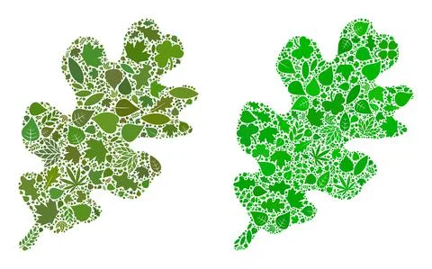 Oak Leaf Icon Eco Composition of Floral Elements Stock Illustration