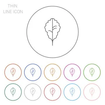 Oak leaf Stock-Illustration