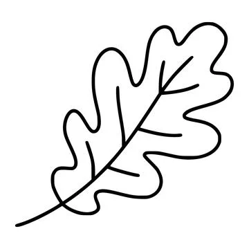 Oak leaf line art vector illustration for autumn design Illustrazione stock